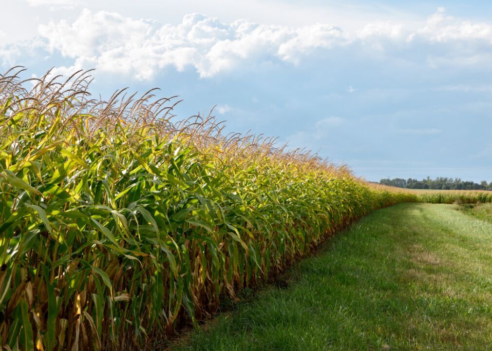 Iowa: Sioux